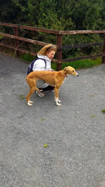 14183902 1104967106253810 189009464740414601 n