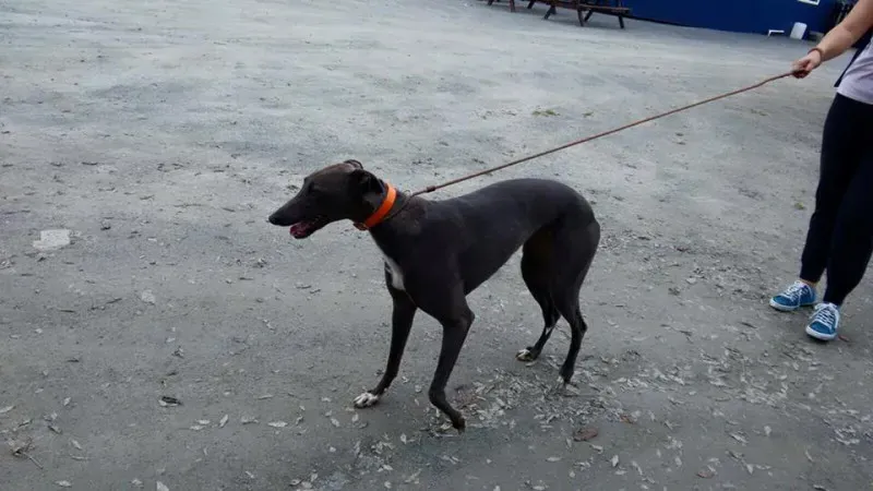 14183903 1102632053153982 1809306666809805461 n