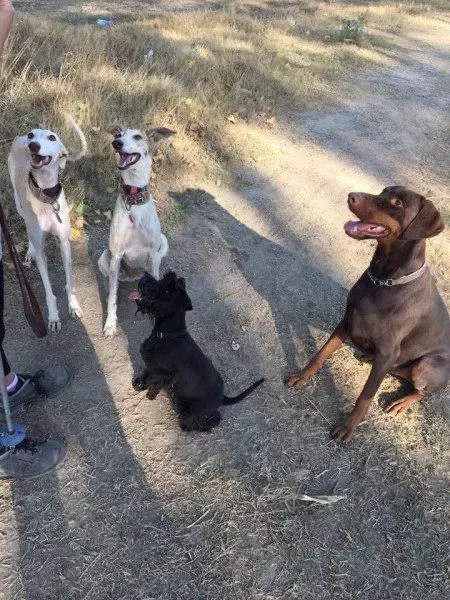 14183913 1574943079474209 2848398972811882208 n e1473005385955