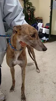 14184301 1104971442920043 8420435711528739 n