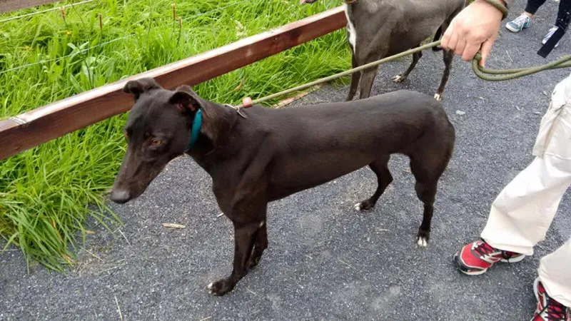 14184313 1104569426293578 6091010013078018379 n