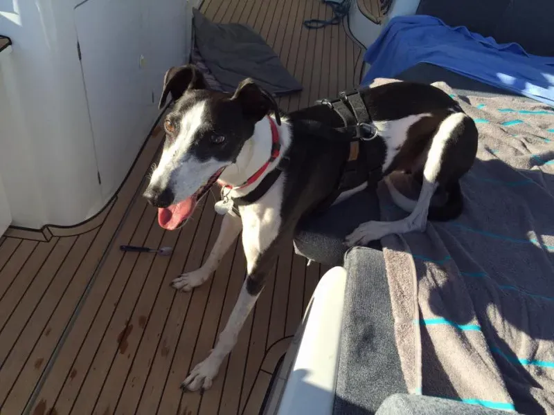 14184335 10154612651624432 7438833916585973343 n