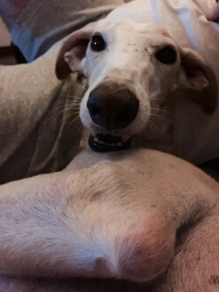 14184344 10209462504506828 5532386211019395045 n