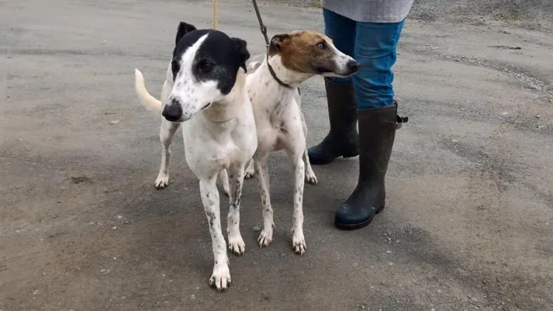 14184389 1104972422919945 4513990984503403513 n