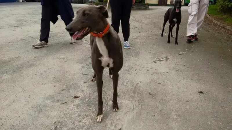 14184391 1102632106487310 649849489086104156 n