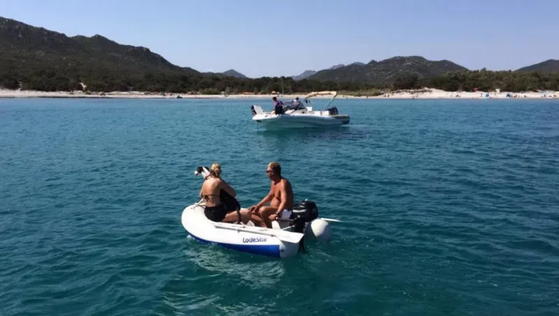 14184479 10154612651924432 174793802306356879 n