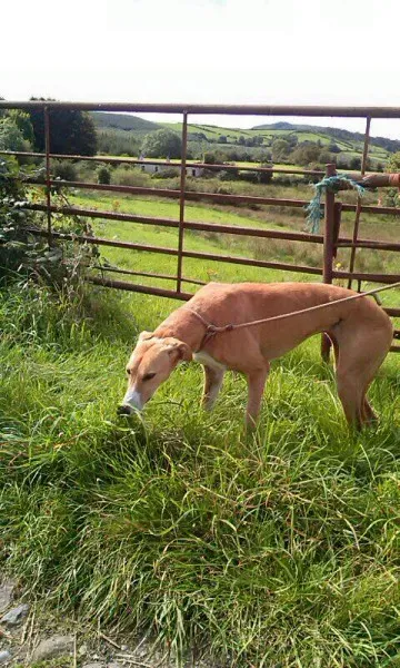 14184504 1104967139587140 7828224060474268826 n