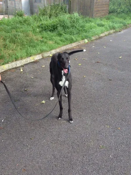 14191309 10210507356949840 1562151989 o