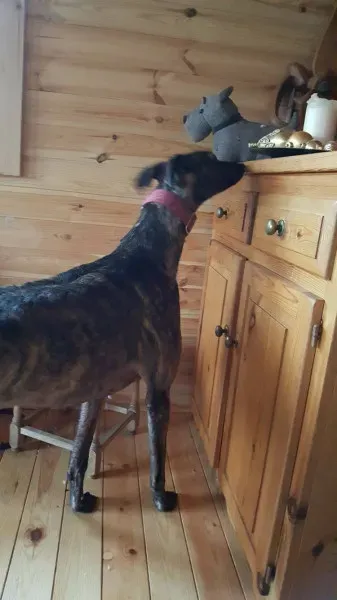 14191635 10209139895028056 1144008560 o