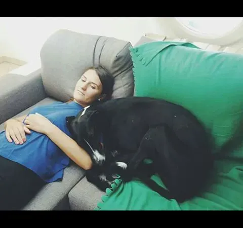 14192189 10210543968495918 2382794376808207250 n