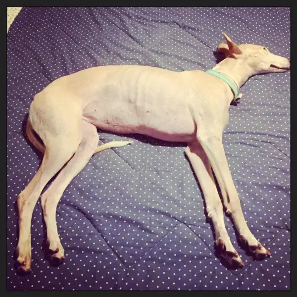 14192562 10209462506066867 1995746913819888224 n