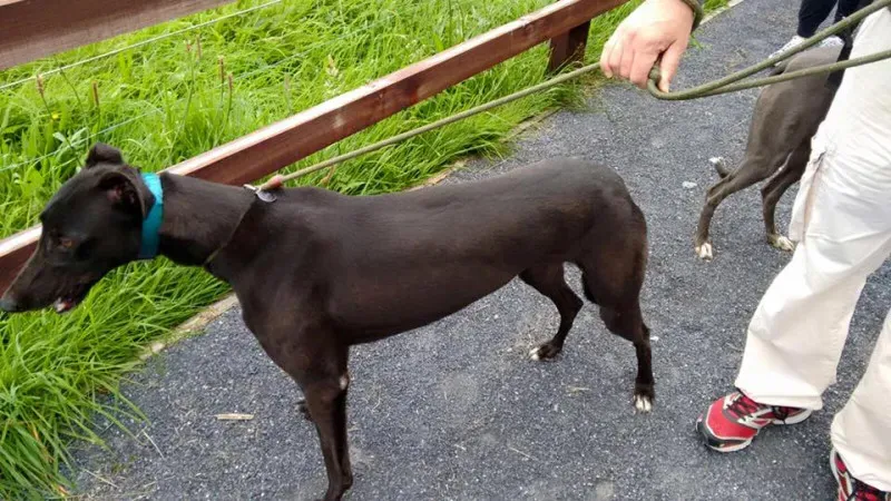 14192715 1104569452960242 1979416765782544886 n