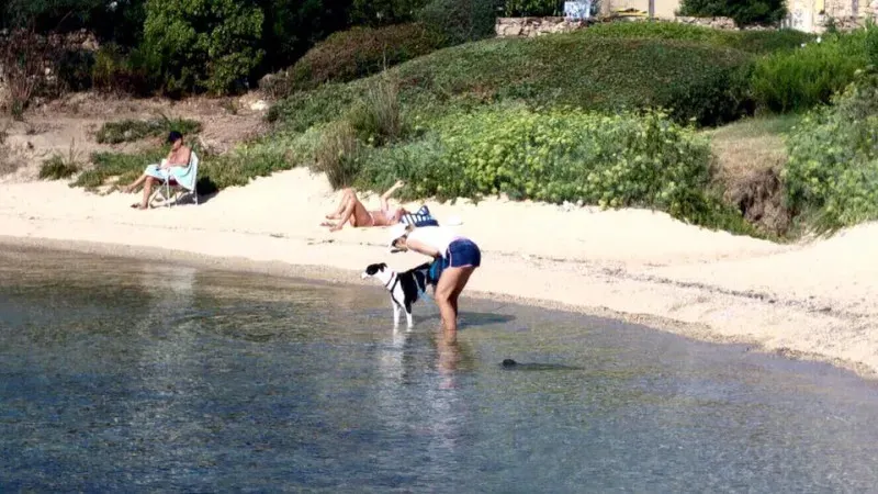 14192769 10154612652064432 5617143774298740984 n