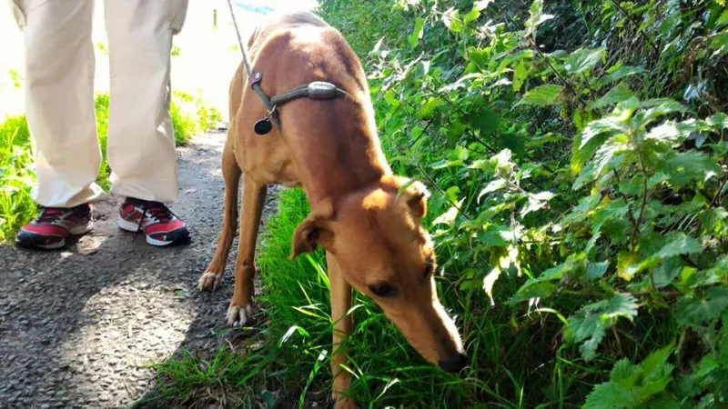 14199142 1102143133202874 5422065627941206262 n