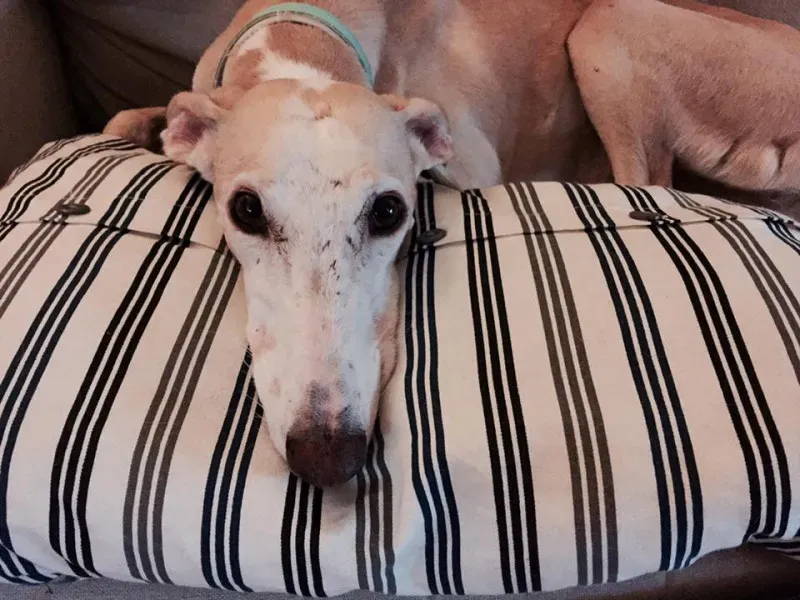 14199149 10209462504026816 6634756789577428160 n