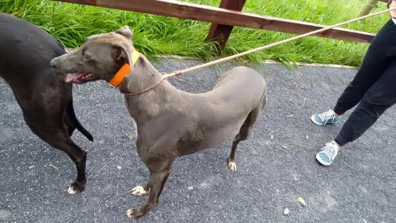 14199248 1102631973153990 2448386948851974960 n