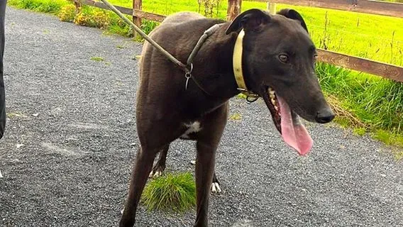 14199250 1104899212927266 5337812128806230206 n