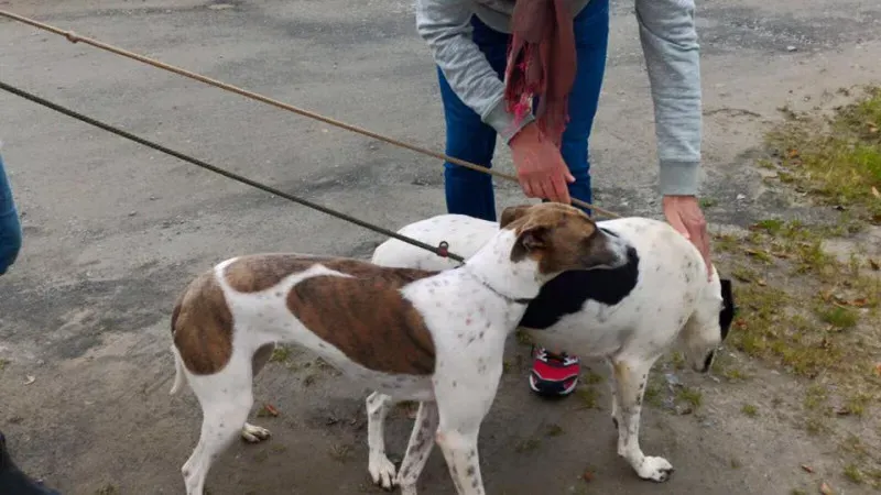 14199537 1104972439586610 3049602293558995099 n