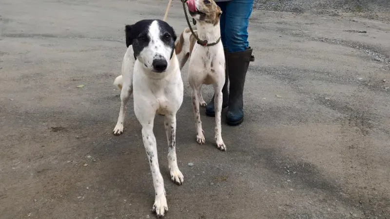 14199654 1104972399586614 1225415198346310927 n