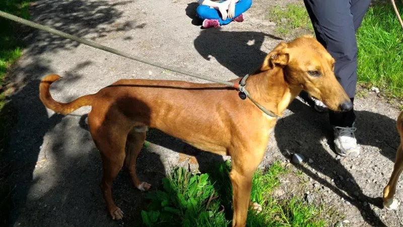 14199674 1102143149869539 4573764332504969835 n