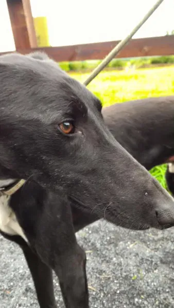 14202481 1104954239588430 6021342916066952849 n