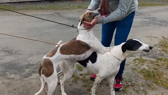 14202494 1104972369586617 4127351853122092518 n