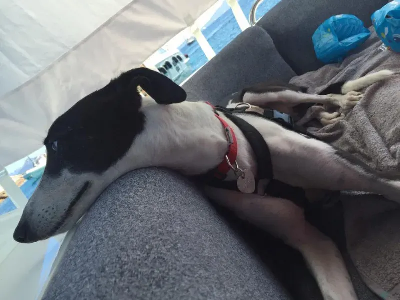 14202780 10154612652279432 1664833242714433680 n