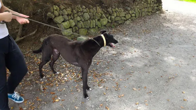 14202782 1104899329593921 6596487974762049544 n