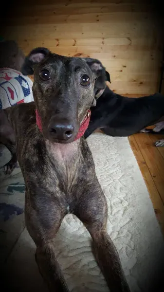 14203046 10209139887267862 1615424481 o