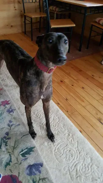 14203078 10209139890387940 1389340719 o