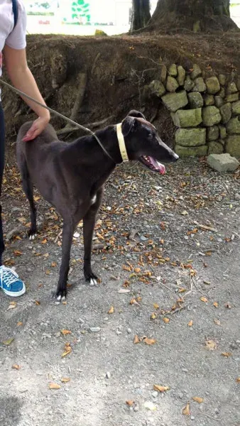 14203216 1104899312927256 4437681936223790044 n