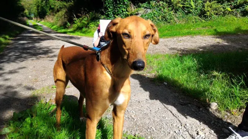 14203256 1102142999869554 958004144039087227 n