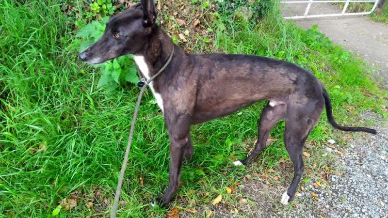 14203318 1104953709588483 1803970563013652730 n