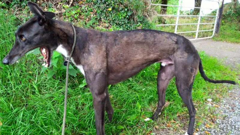 14211997 1104953719588482 7030876917150878622 n