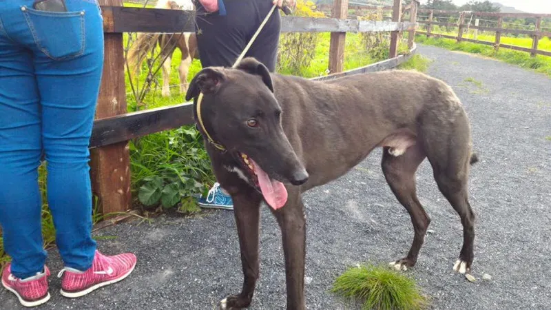 14212172 1104899282927259 6040409400329100836 n