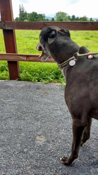 14212586 1104949259588928 4798344185773225166 n