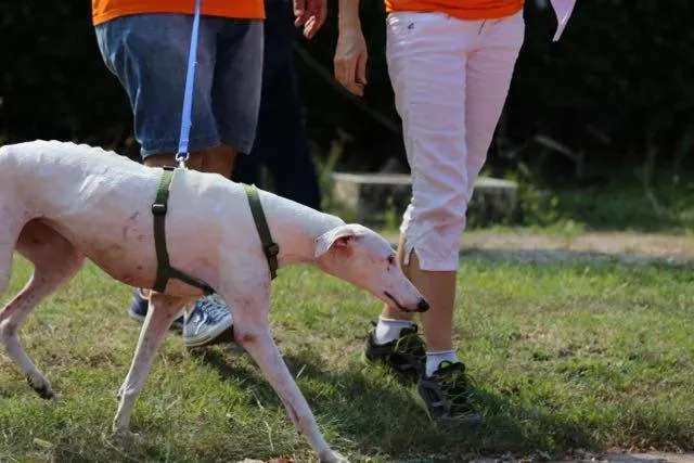 14212722 1113541178729736 3556943528465509231 n