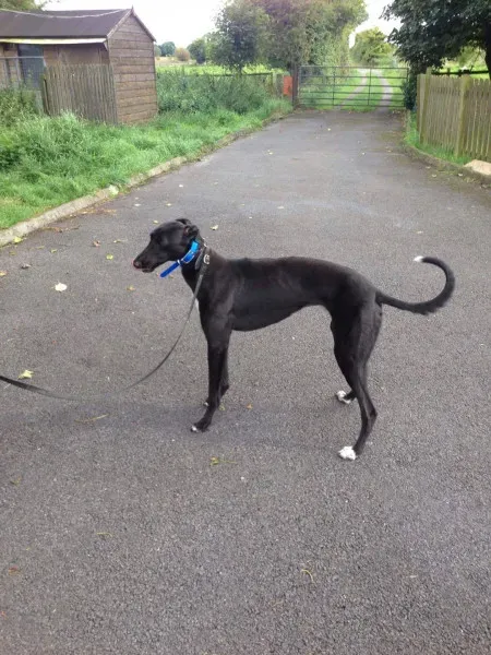 14215255 10210507358509879 507235559 o