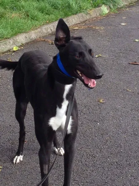 14215375 10210507356349825 1141263279 o