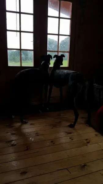 14215390 10209139895068057 1014578781 o