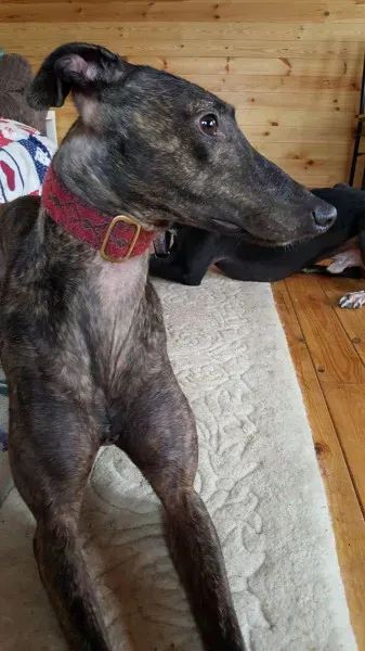 14215566 10209139887547869 1510696118 o