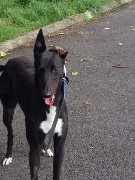 14215712 10210507358829887 1887988573 o