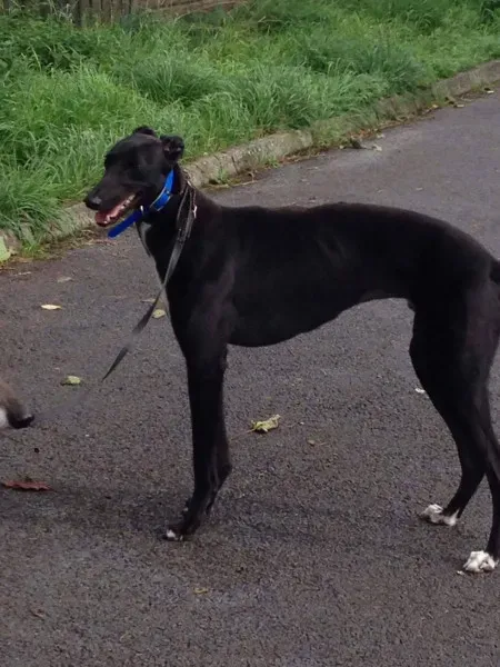 14215761 10210507343709509 2111114203 o