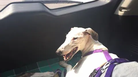 14222161 10207483546190197 2210192899879779069 n