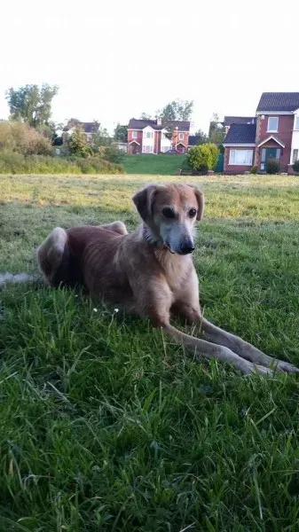 1422355 714481855267348 3756385872482803184 n