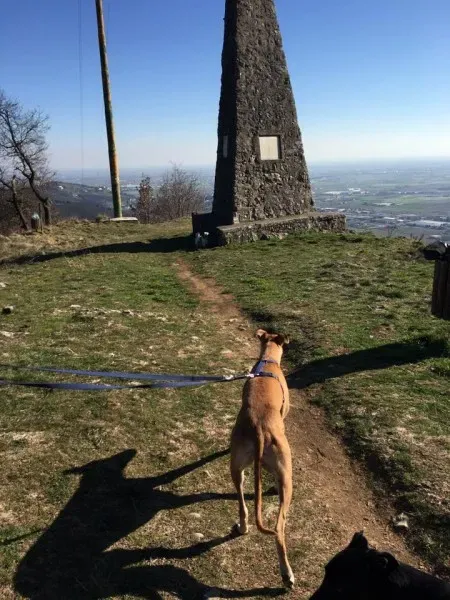 1422361 10207845087344029 1806834955327421779 n