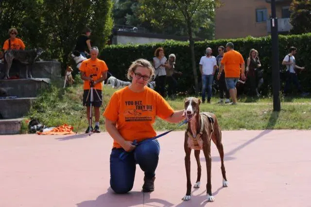 14224788 1113541415396379 7928974306681413378 n