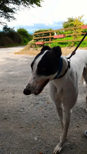 14225539 1104569926293528 4355140850772781688 n