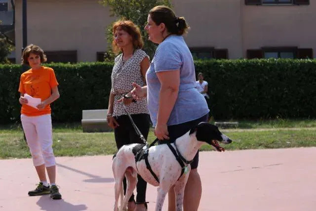 14232382 1113541768729677 6594311641981583111 n