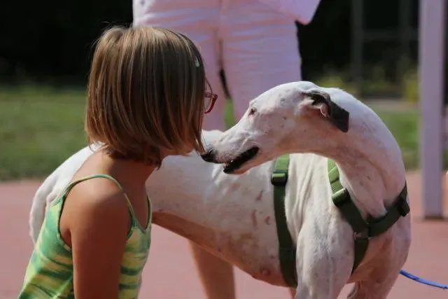 14232492 1113541305396390 3073892653961659378 n